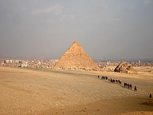 A group of tourist on a camel ride in Giza