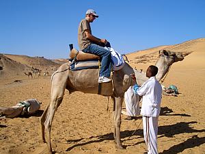 Phew - up safely! A camel stands much taller than a horse.