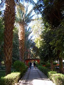 The island has been made into a botanical garden, featuring many plants and trees brought to Egypt from the East and the West.