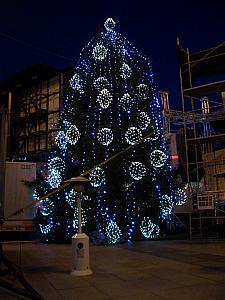 Zagreb's giant Christmas tree.