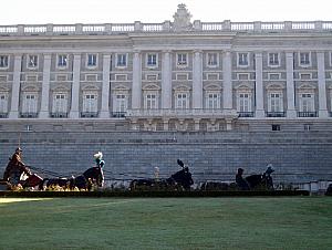 Horses in training at Campo del Moro, with the Royal Palace in the background