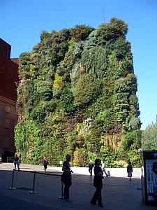 Vertical garden in front of the Caixa Forum