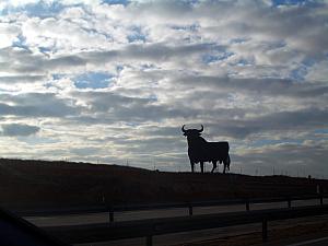 We saw MANY giant bull billboards along the highways. It was always fun to see them and point them out.