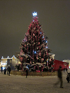 Vilnius, Lithuania Christmas Tree, lit up for the dark.