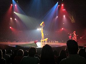 Cirque du Soleil: Ovo