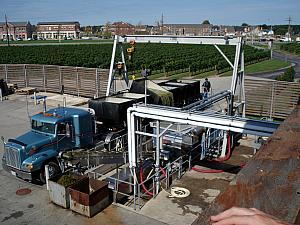 We spent Wednesday visiting some wineries in the Niagara-on-the-Lake wine country -- here is a truck delivering a load of grapes to one of the wineries.