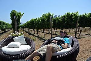 Vina del Mar, Chile - Jay resting at a winery. (No wine consumed yet...just was up at 5am to get off the ship!)