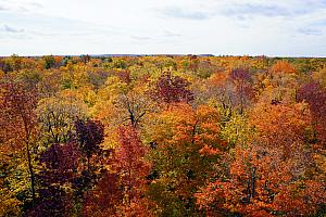 Amazing fall colors at Peninsula State Park