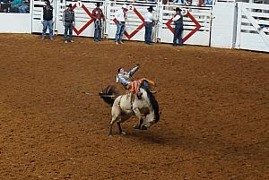 Fort Worth Rodeo and Stock Show