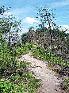 Example of a path along the ridgeline.