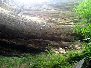 Jay repelling.