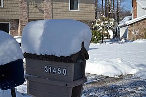 They received about 10" of snow!