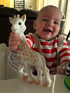 Say hi to Sophie the giraffe!