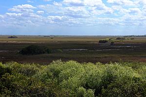 View of the everglades from high atop a 100-foot-high viewing platform.