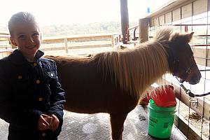 Cardin and a miniature horse