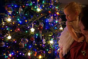 Grammy showing Capri the Christmas tree lights.