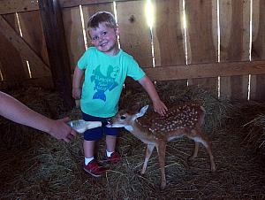 Cooper and the deer
