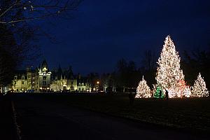 Biltmore House with Christmas Trees