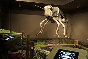 Awesome animated (as in moving) giant insect display at the North Carolina Arboretum