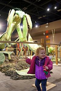 Awesome animated (as in moving) giant insect display at the North Carolina Arboretum -- Capri loved it!