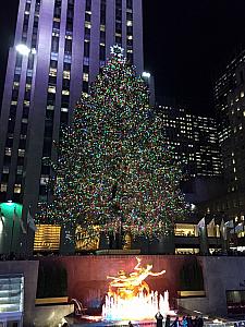 NYC Rockefeller Christmas tree