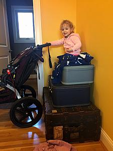 We found Capri atop the stack of suitcases in the mud room!