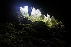 Camuy Cave