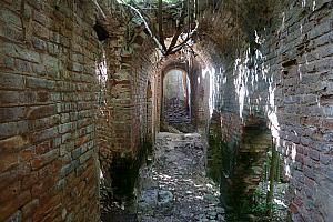 Sugar mill ruins