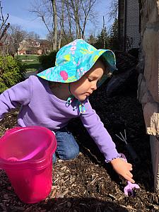 Capri helping dad pull weeds in the mulch beds
