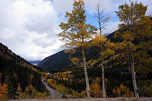 After the train ride, we drove up to the summit area of Guanella Pass.